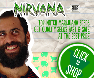 Buy Marijuana Seeds Online